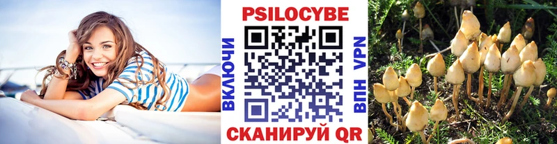 Купить закладки Клинцы Псилоцибиновые грибы Psilocybine cubensis